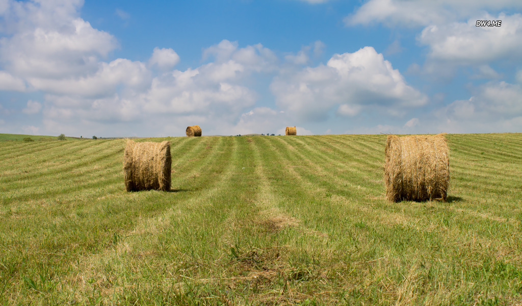 Hay Bales After The Harvest Wallpaper Nature