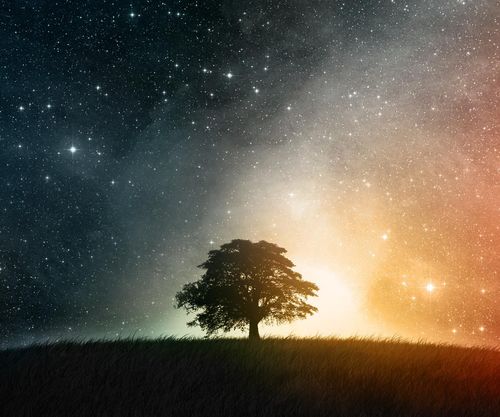 Lonesome Tree With Starry Colorful Sky Wallpaper For Samsung Epic