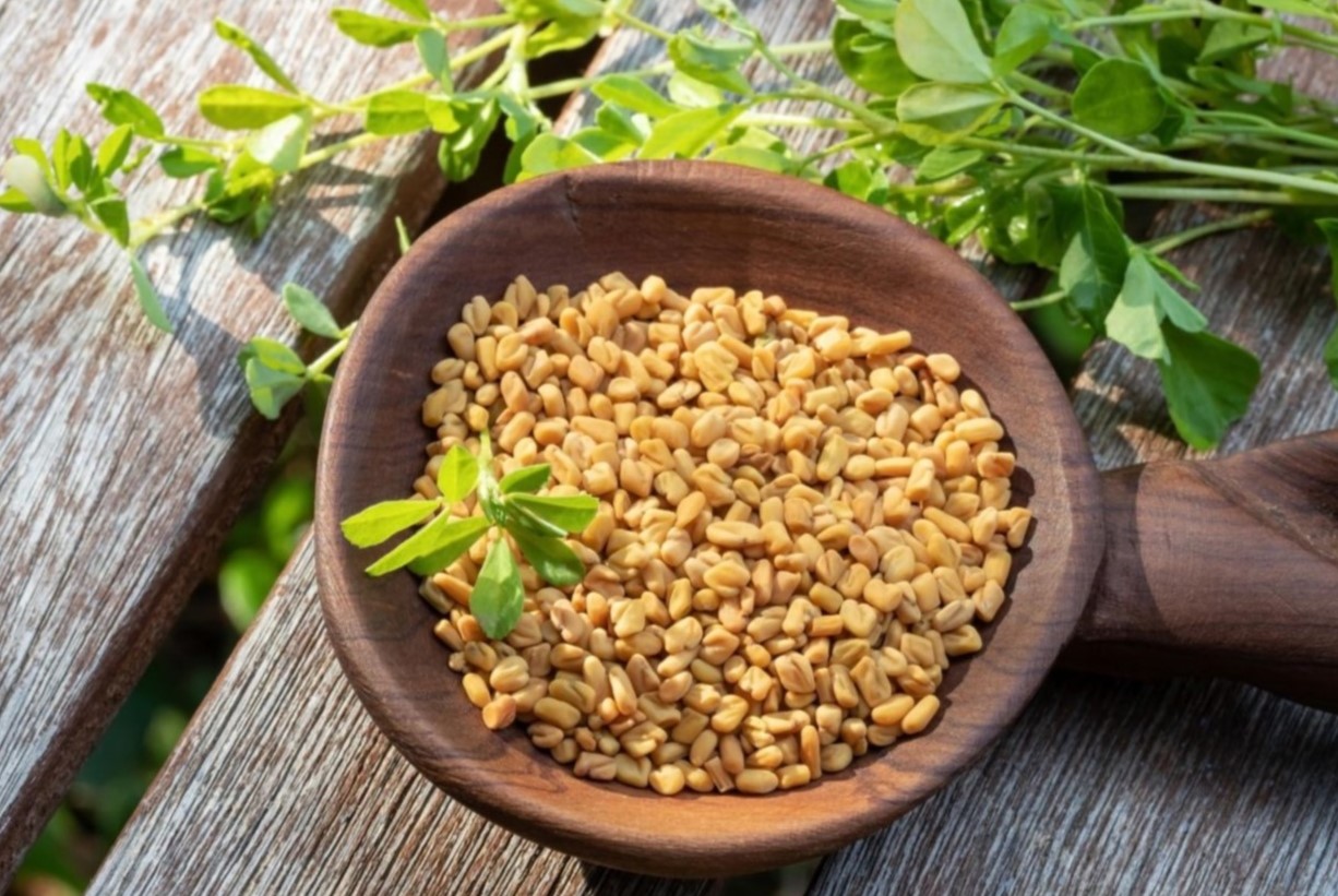 Use Fenugreek Seeds Wallpaper