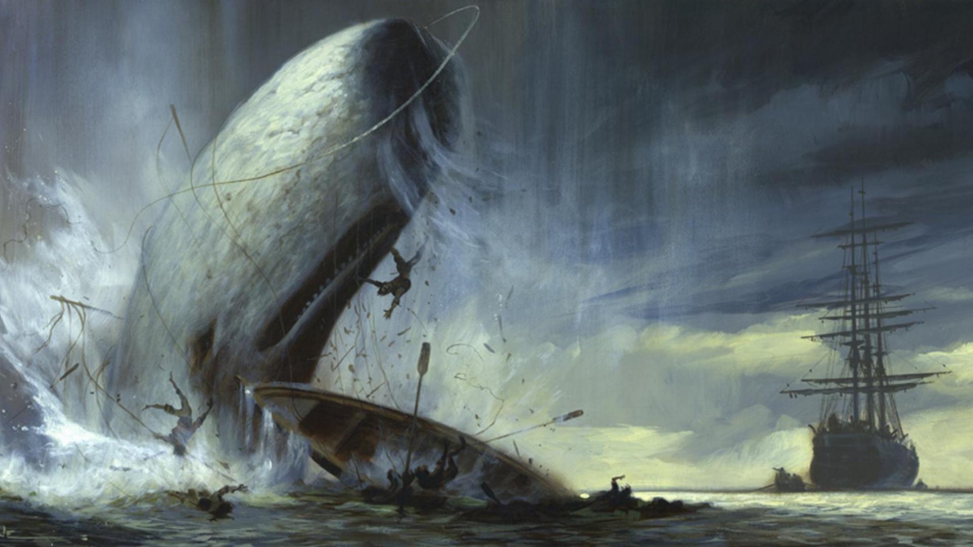Moby Dick Wallpaper