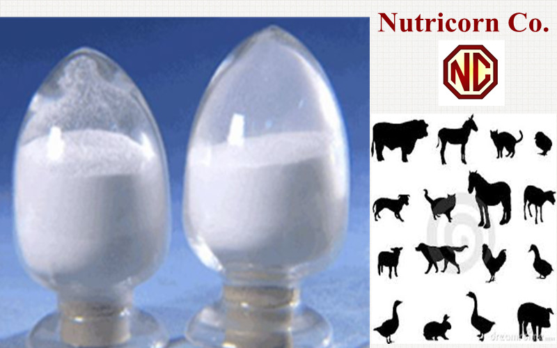 Free download corn starch adhesive [600x640] for your Desktop, Mobile