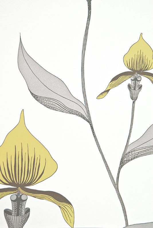  White wallpaper with large illustrated orchid design in lemon yellow