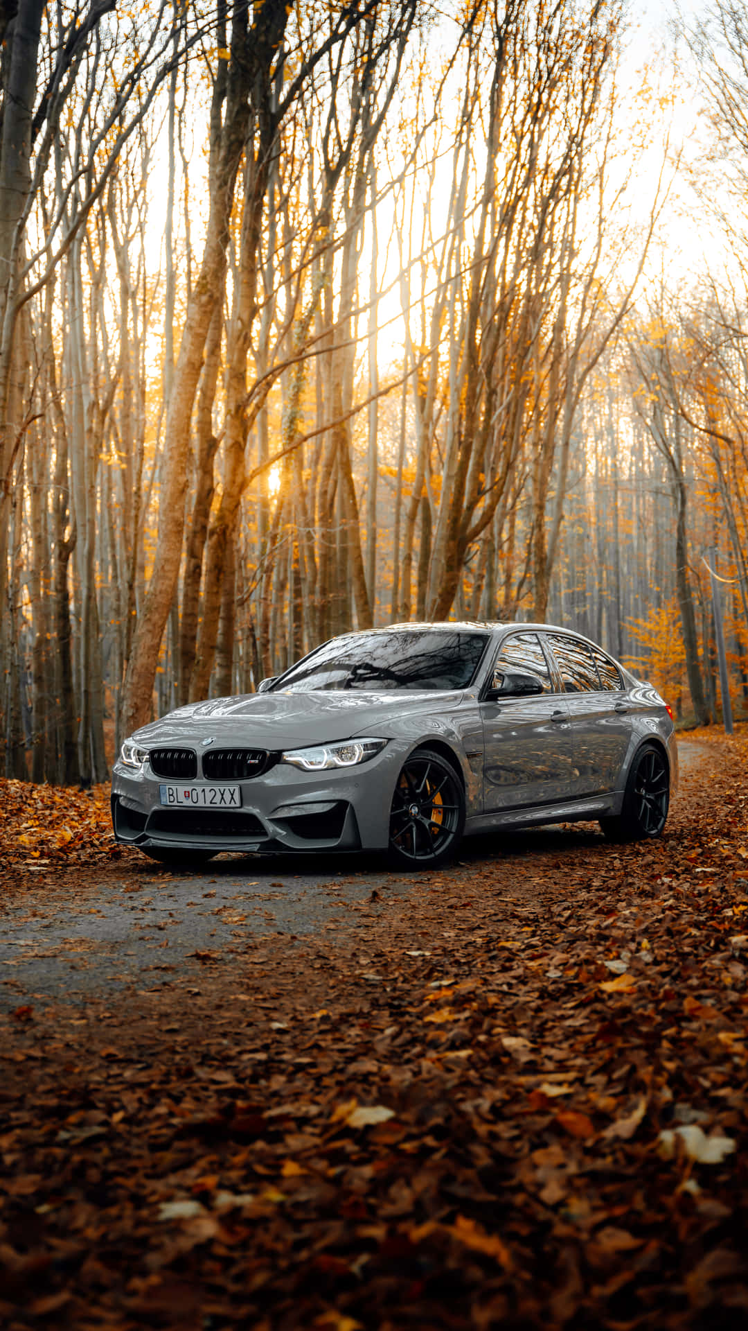 Bmw M Series Wallpaper