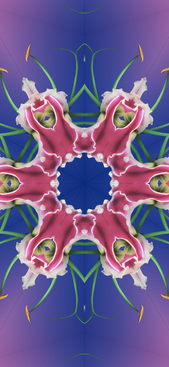 Official Ios Wallpaper For Your iPhone