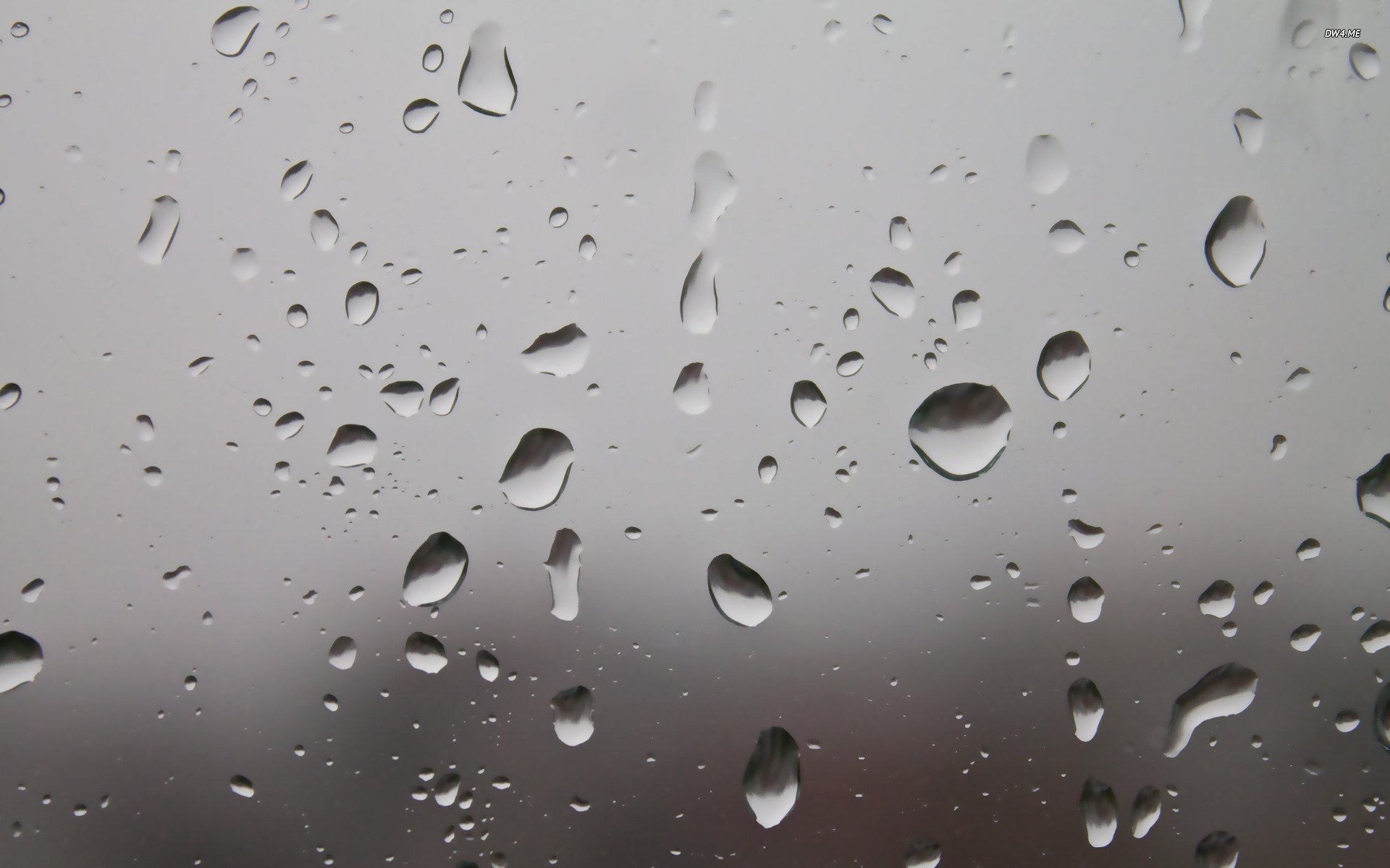 Raindrops on the window wallpaper   Photography wallpapers   588