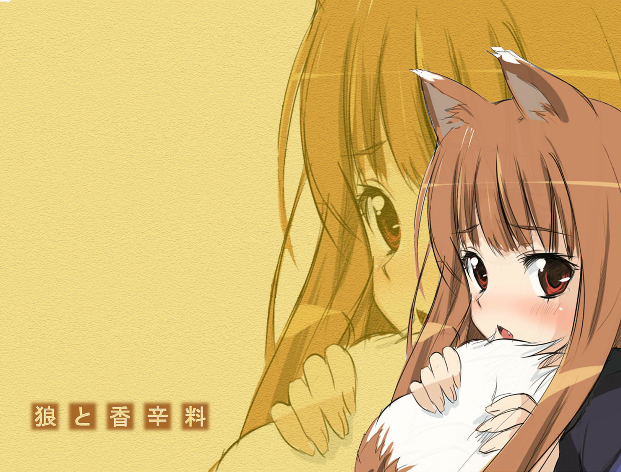 Muryou Anime Wallpaper Spice And Wolf Horo