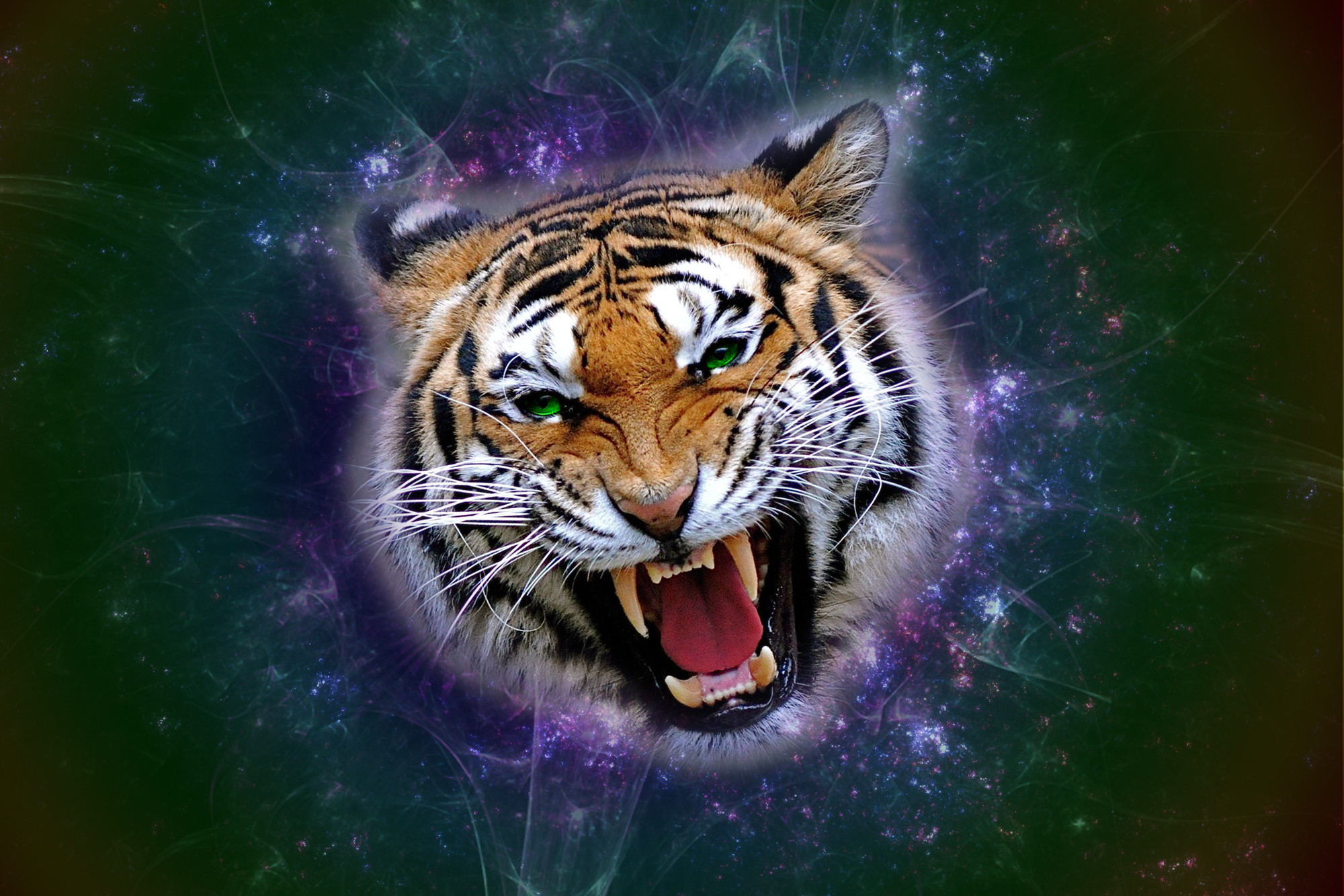 Angry Tiger by Bixile on