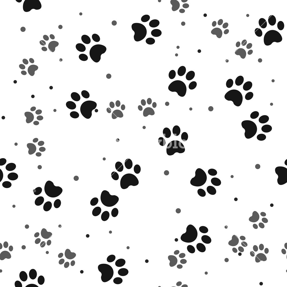 Dog Paw Print Seamless Pattern On White Background Eps10 Royalty