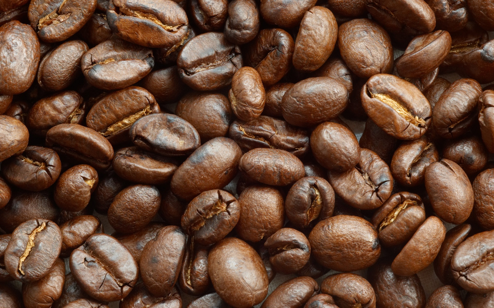Brown Image Coffee Beans Wallpaper HD And Background