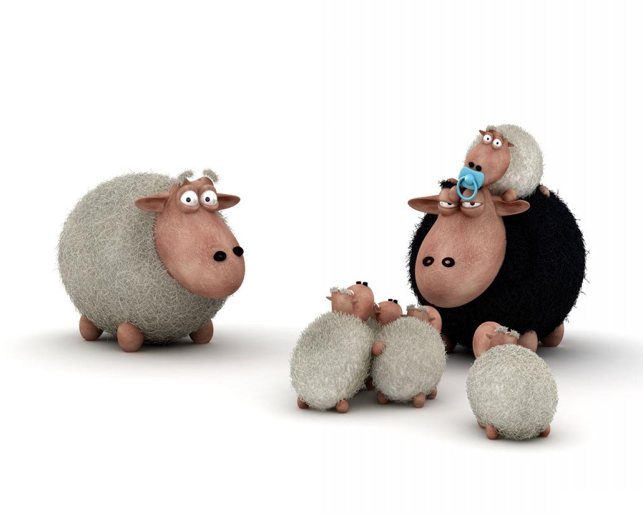 Animal Zoo Life Sheep Cartoon Texel Tags