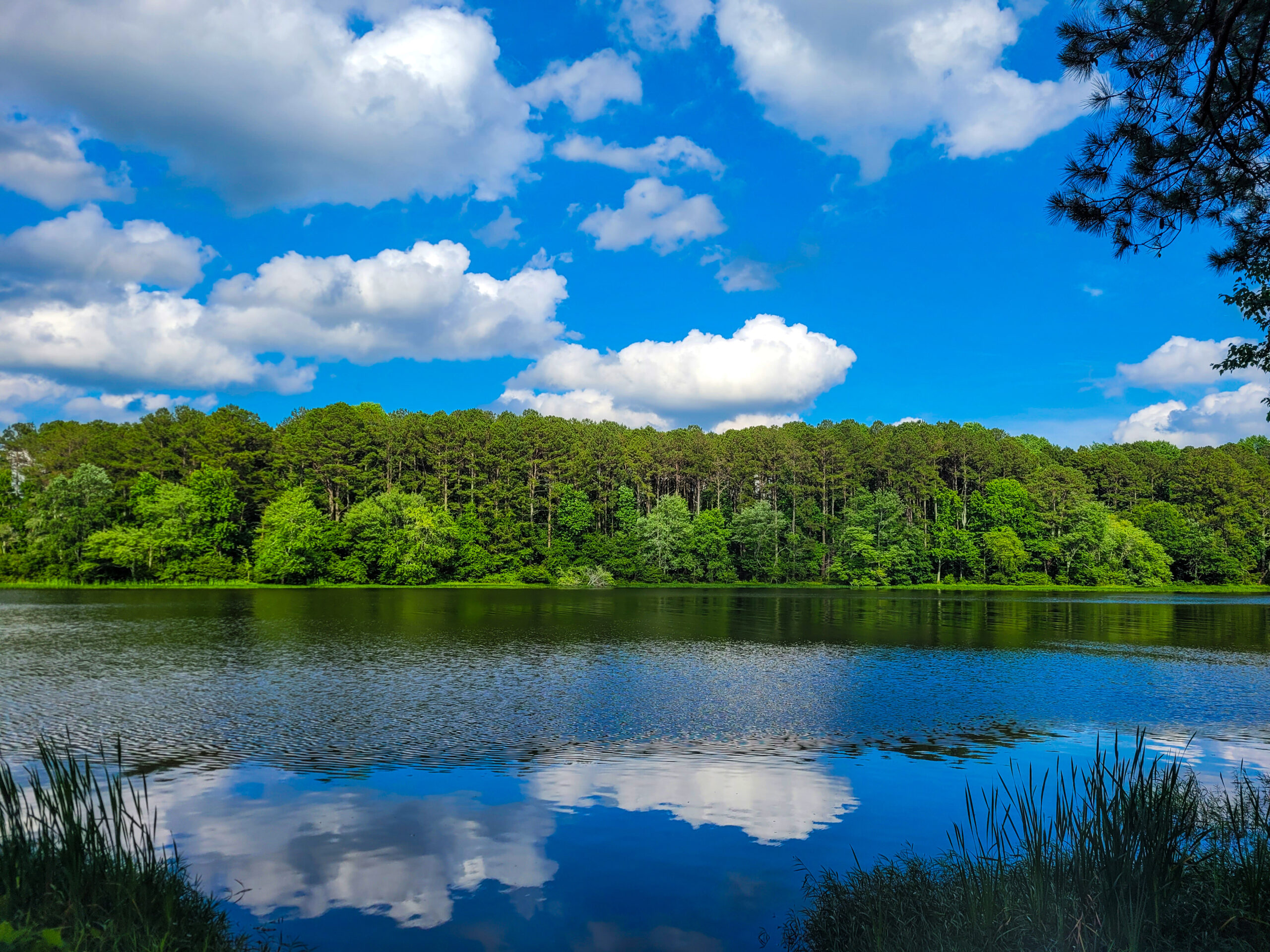 Lake And Pond Management With David Riedl Of Solitude Wallpaper