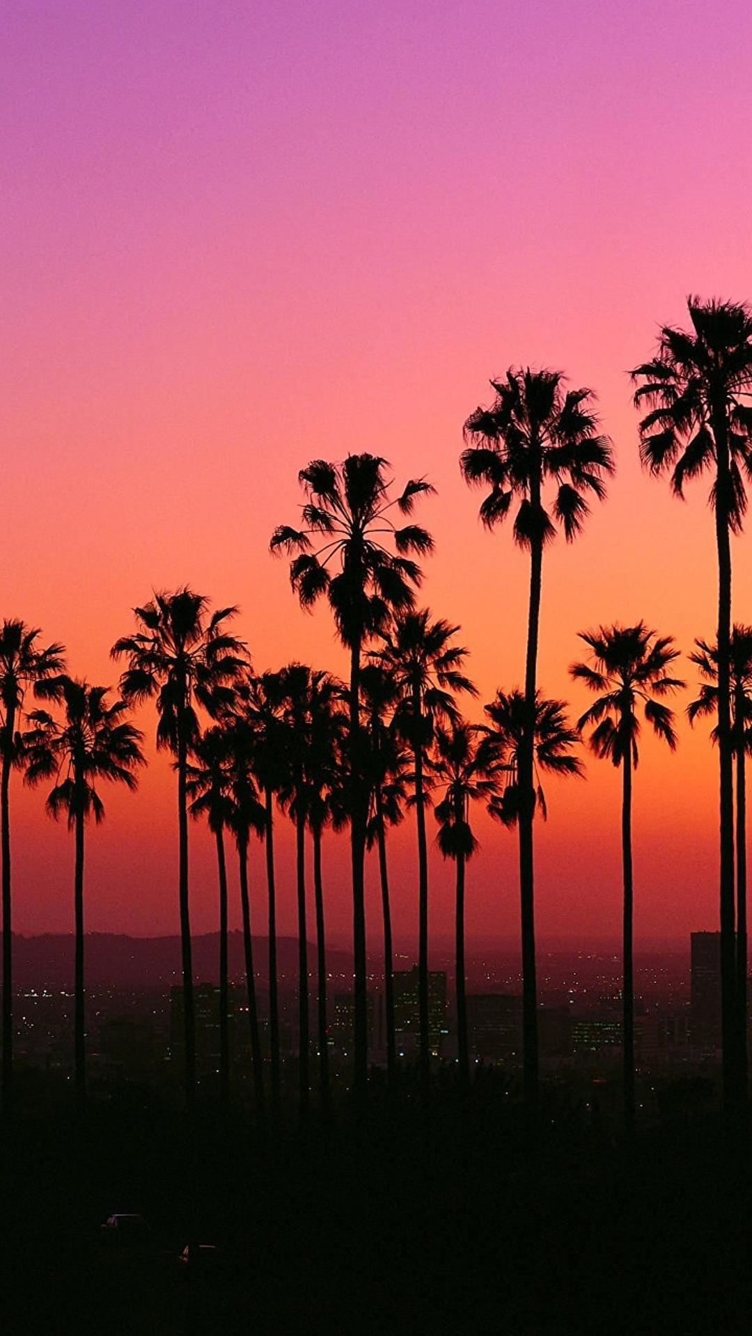 Los Angeles Aesthetic Pink Wallpaper