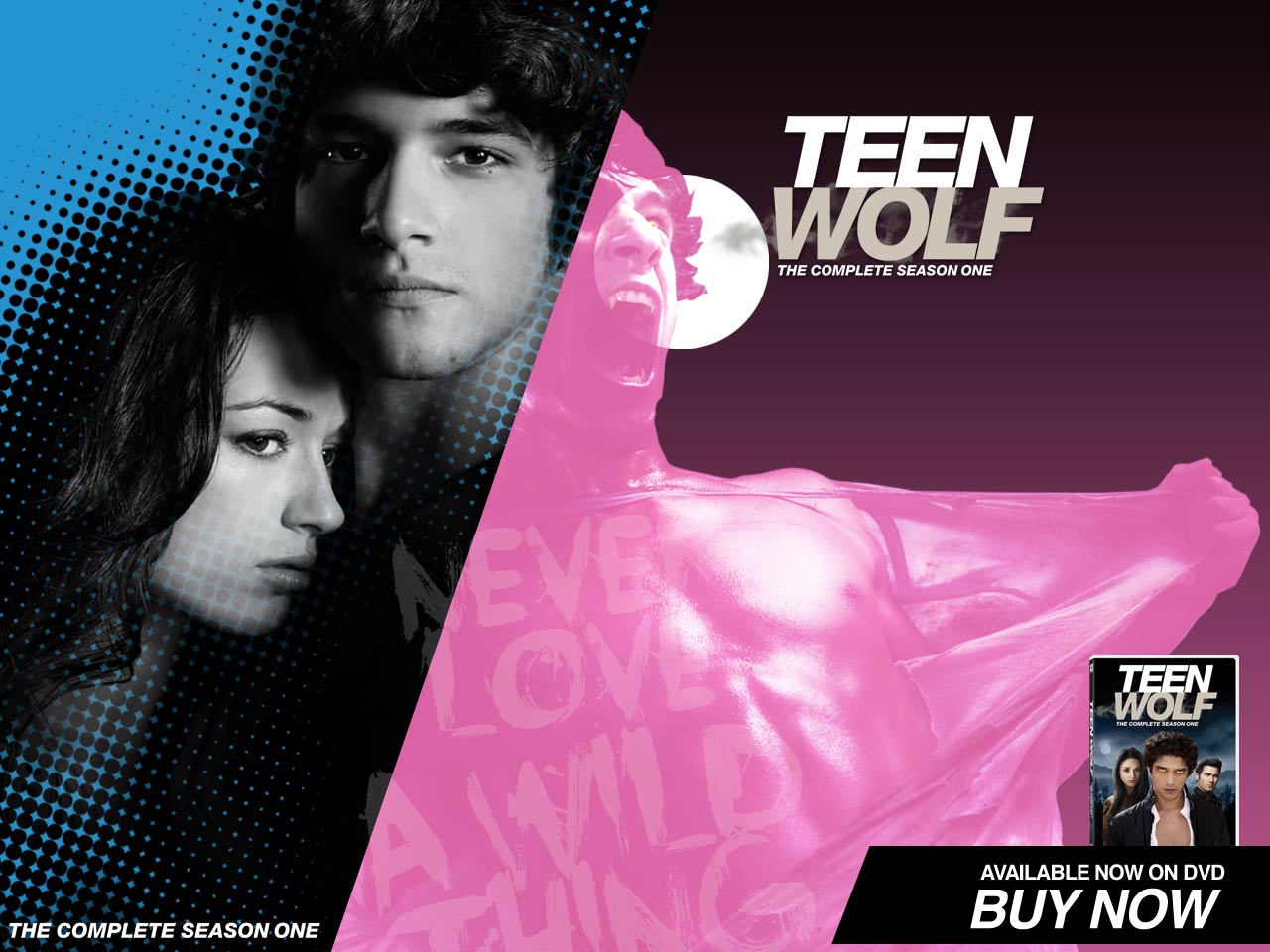 Teen Wolf Season Dvd The Perfect Panion For A Supernatural