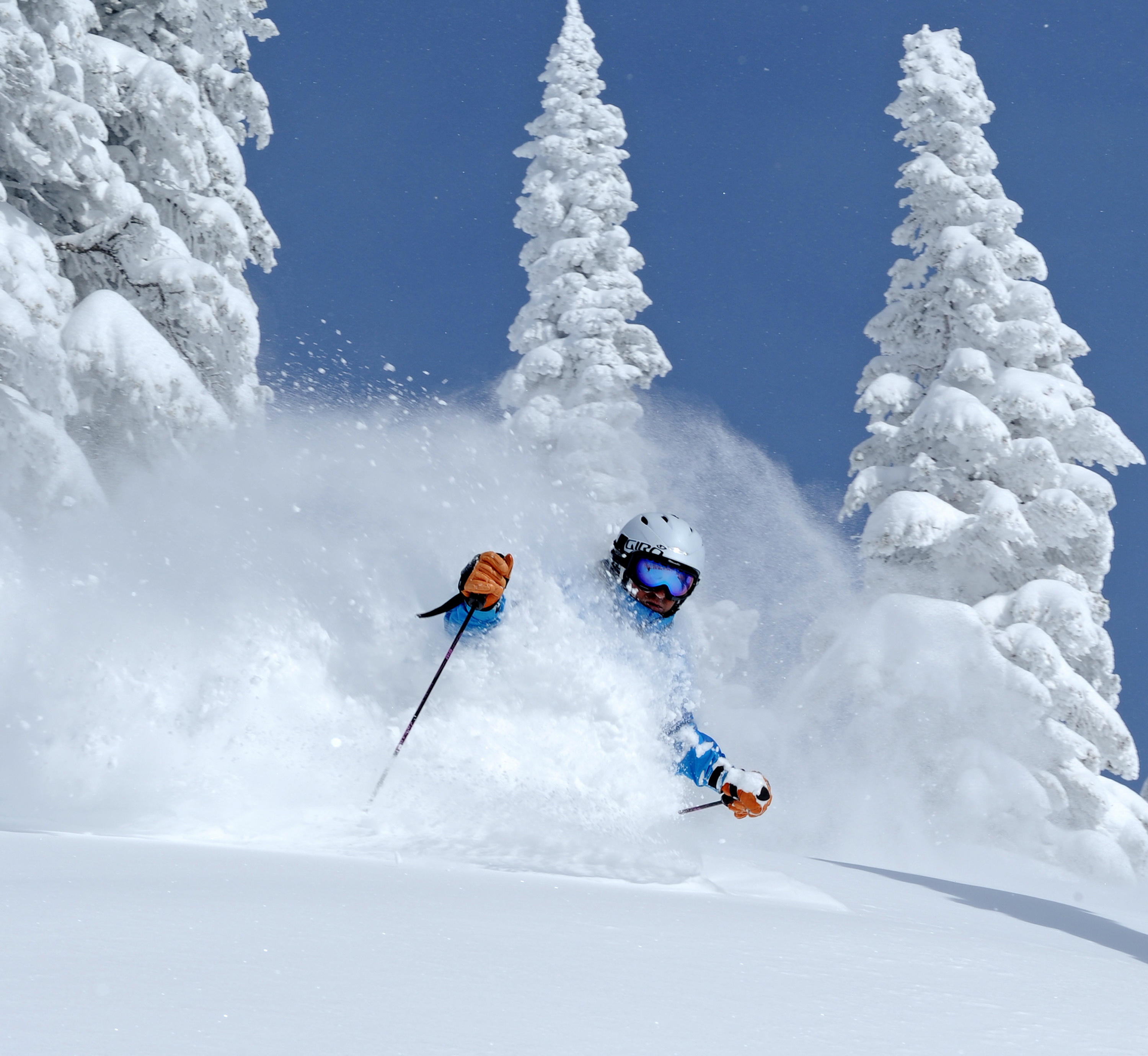 Powder Skiing Wallpaper Image Pictures Becuo