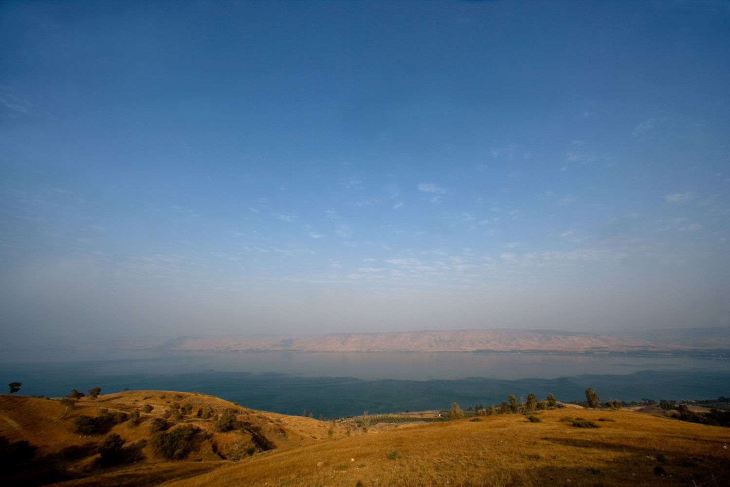 Israel Landscape Movdata