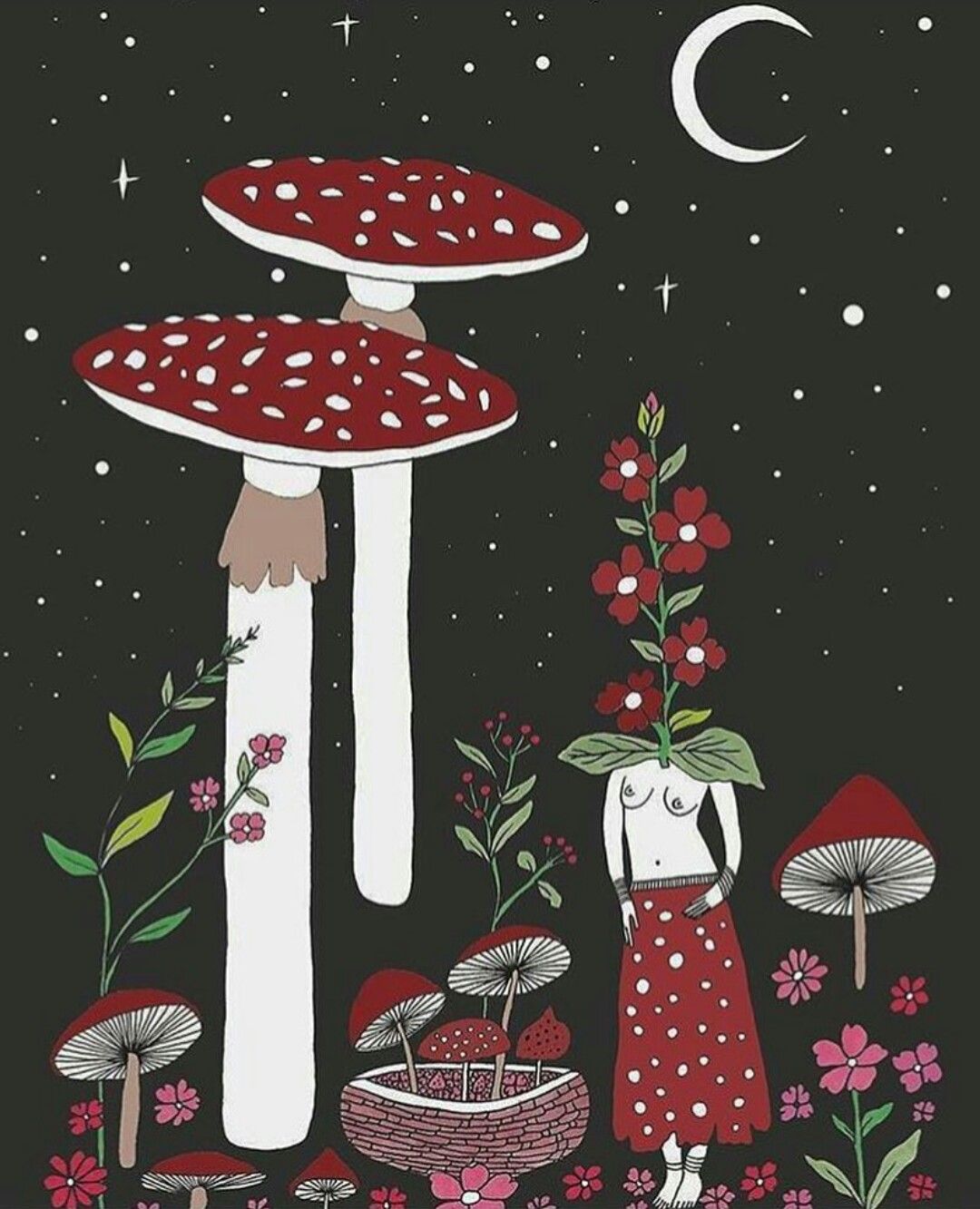 Mushrooms Wallpapers on WallpaperDog