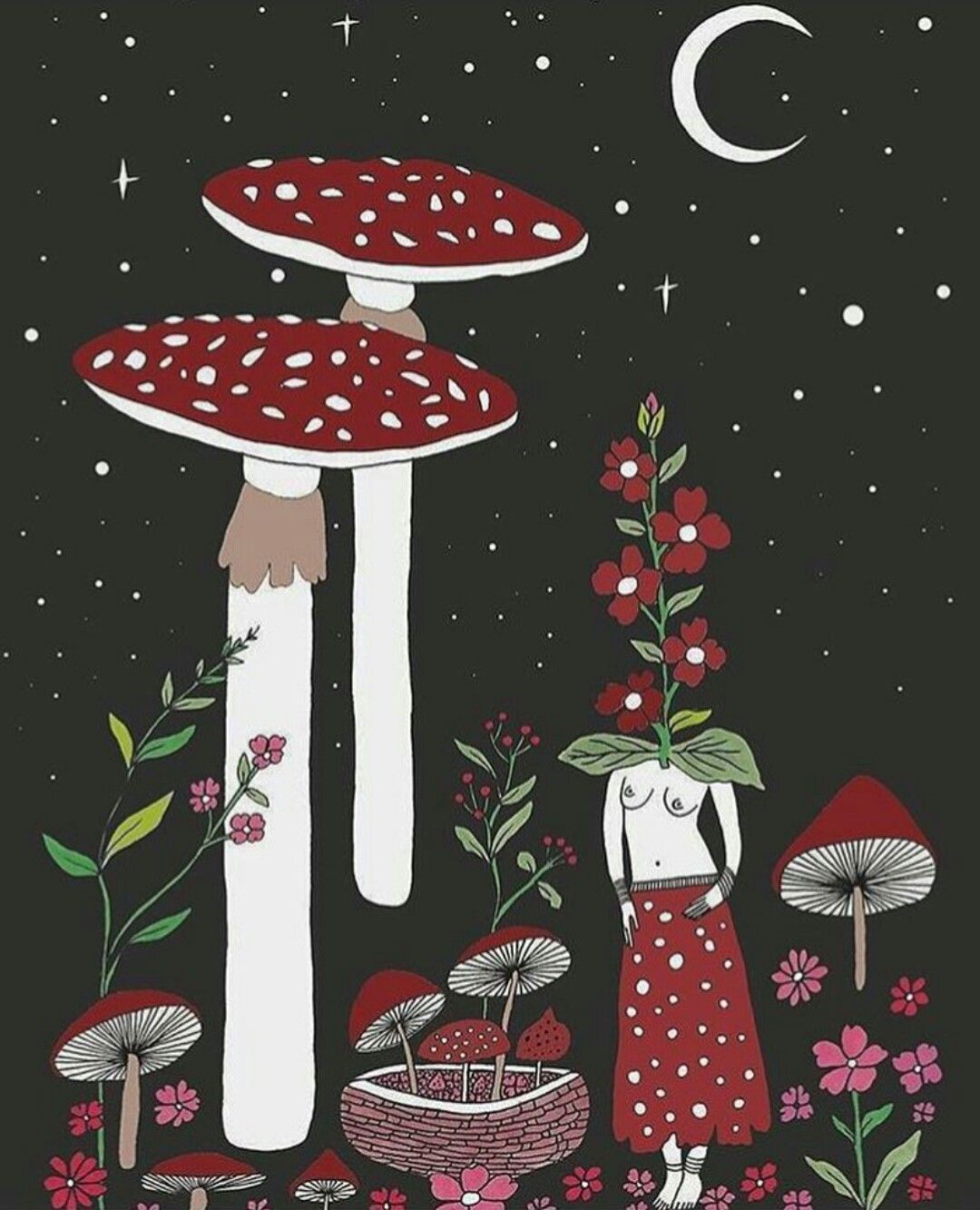 Mushroom aesthetic HD wallpapers  Pxfuel