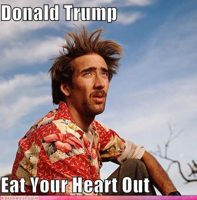 Funny Donald Trump Pictures Vitamin Ha