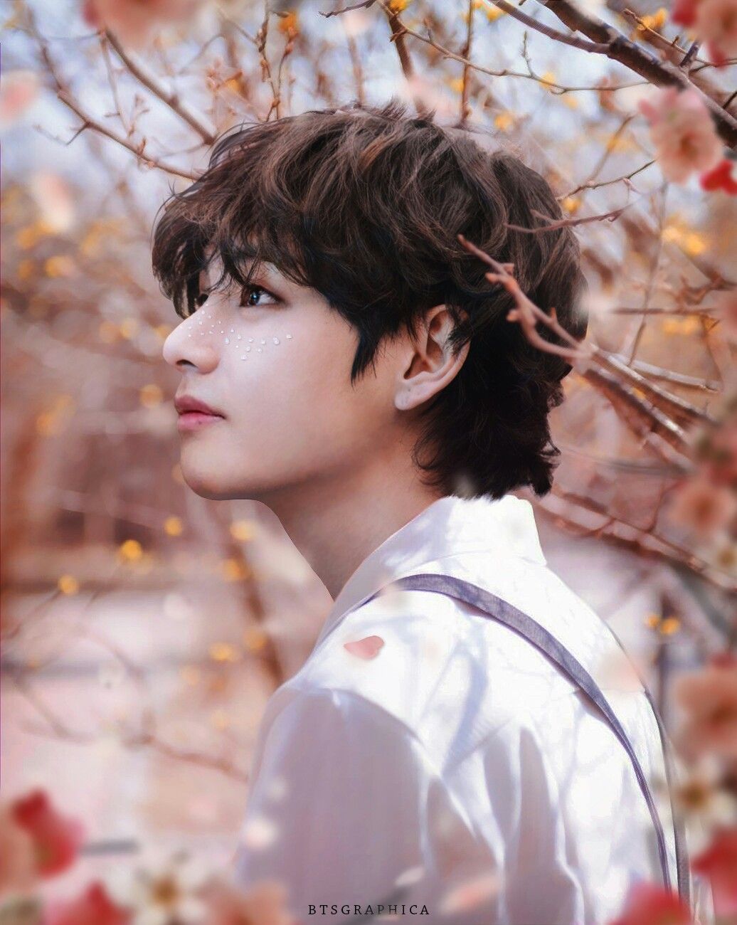 Tae Wallpaper