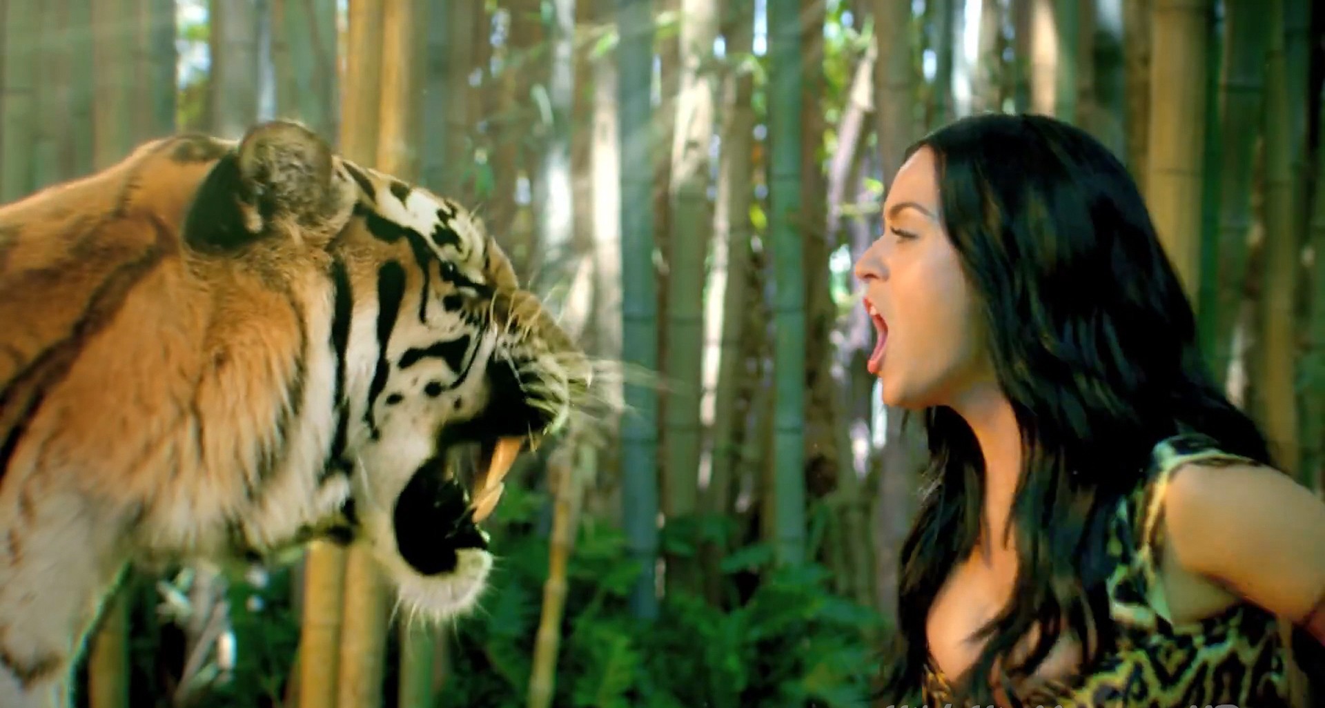 Katy Perry Song Video Tiger Roar HD Wallpaper
