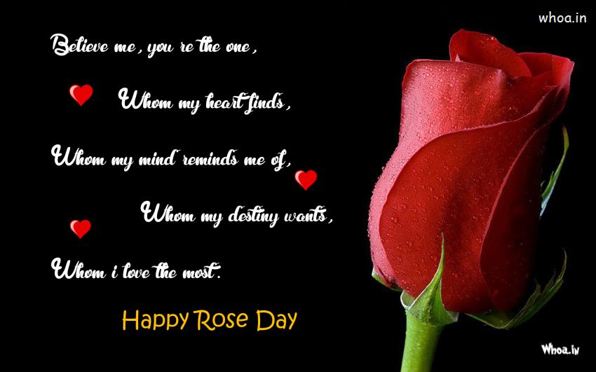 Happy Rose Day Quote Wallpaper Black Background