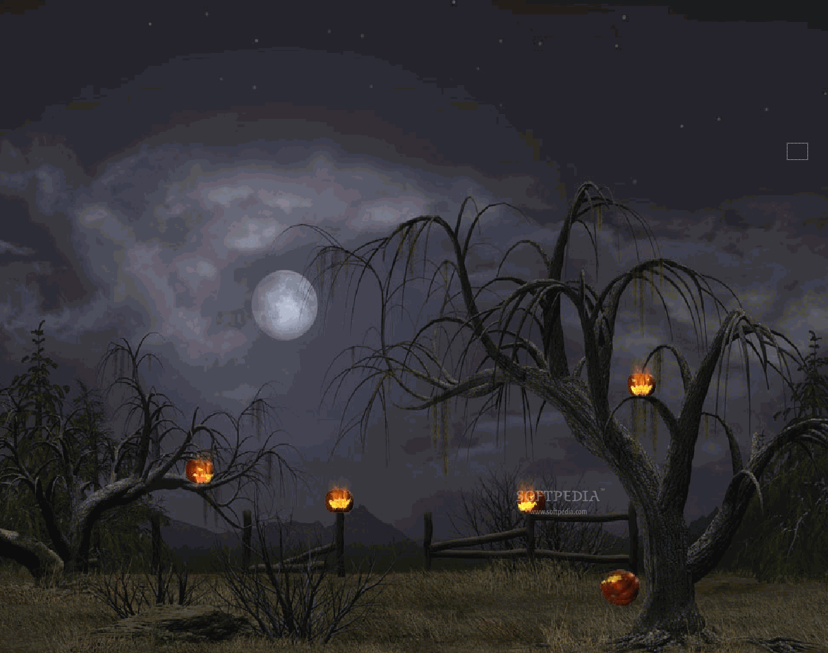 Halloween Night   Animated Wallpaper   This is the image displayed by