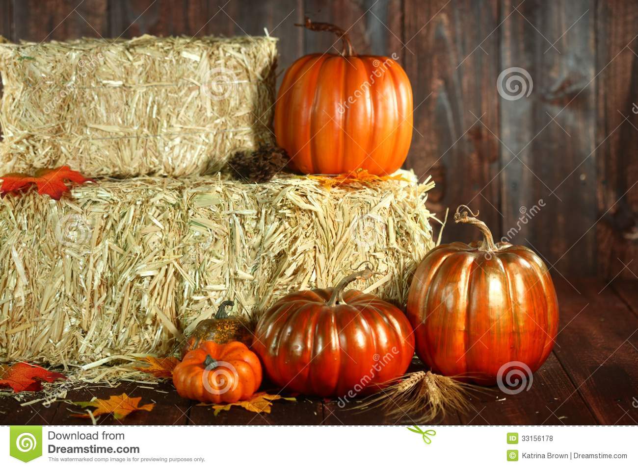Fall Scene With Pumpkins Themed