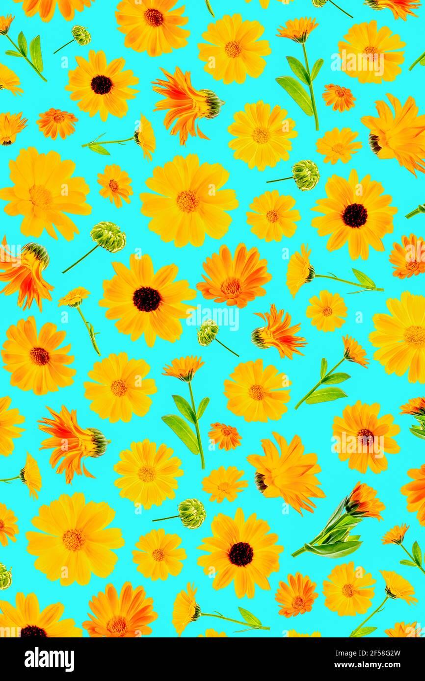 Pattern Of Orange Flowers Calendula On A Blue Background As