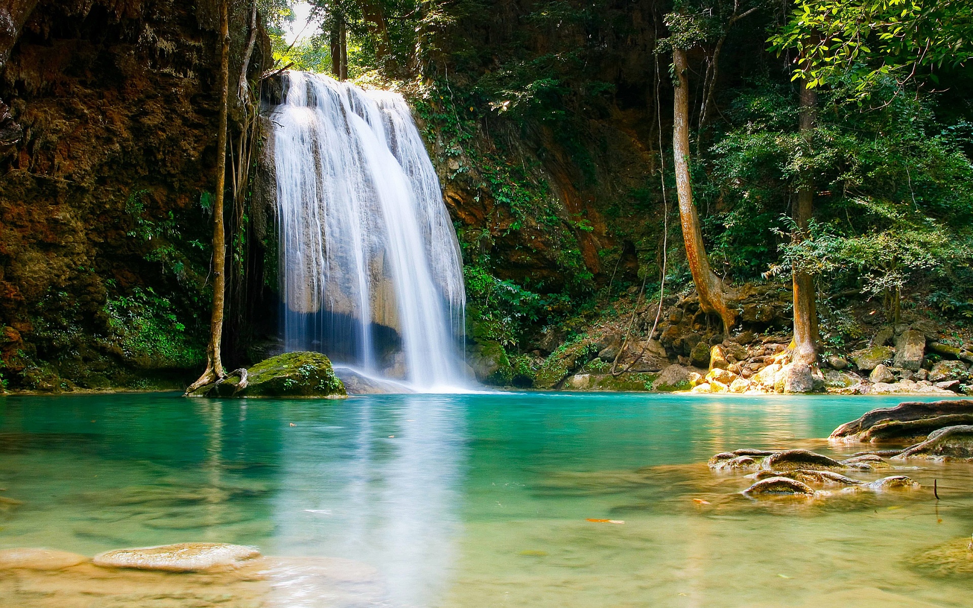 Dense Forest Waterfall Full HD Desktop Wallpaper 1080p