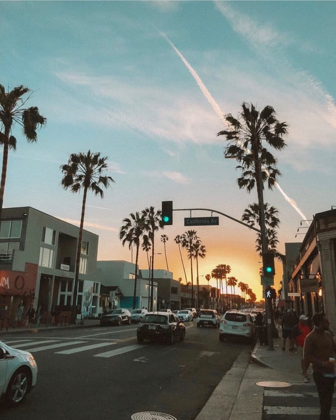California Aesthetic West Coast Palm Trees Instagram Picture Ideas Wallpaper