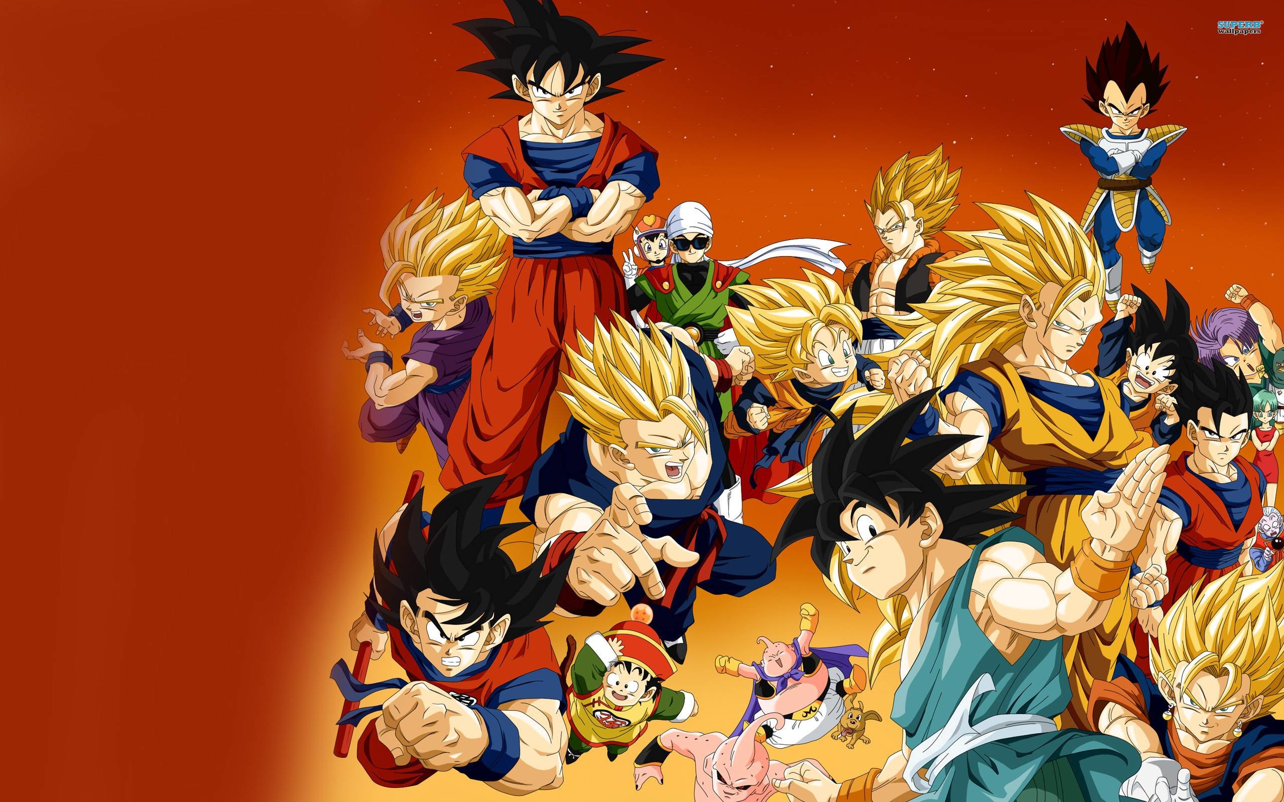 A collage of Dragon Ball Z characters in action poses, showcasing iconic Saiyans and other heroes. Perfect for Dragon Ball Z fans