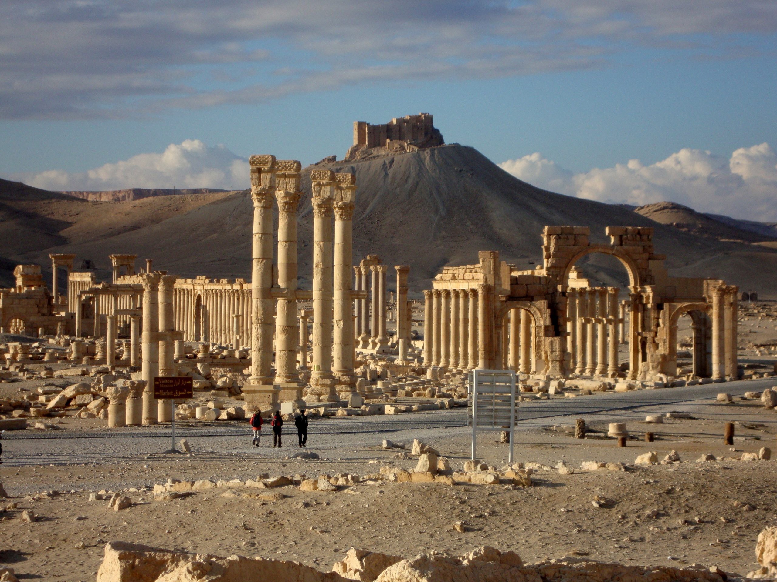 Ancient ruins of Palmyra, Syria, with the citadel in the background. The image captures the grandeur and decay of the historical site