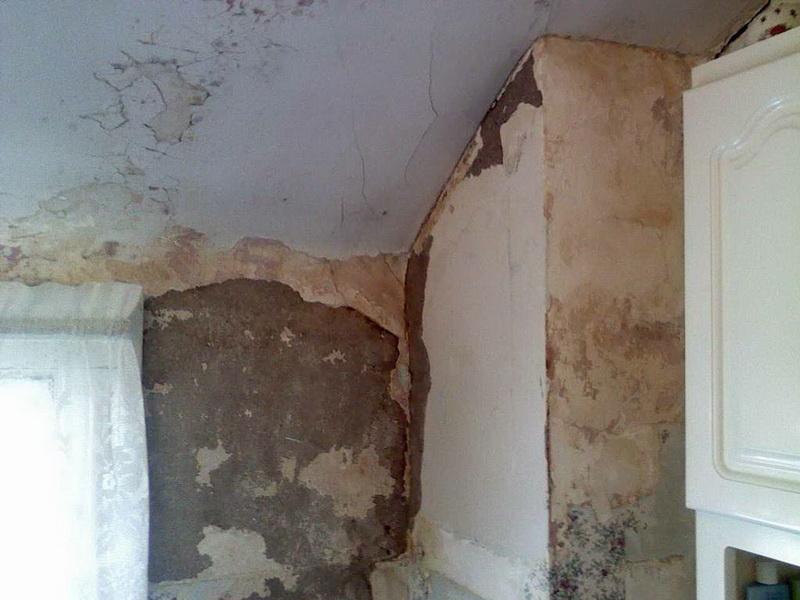 Free download how to remove wallpaper from plaster walls wall anchors