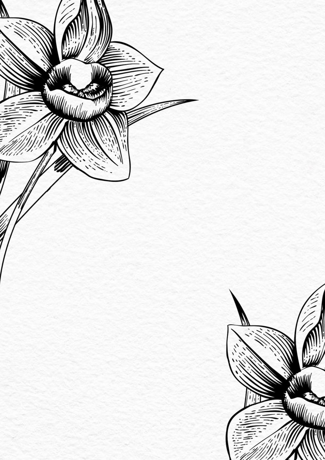 Background Black And White Flower Wallpaper