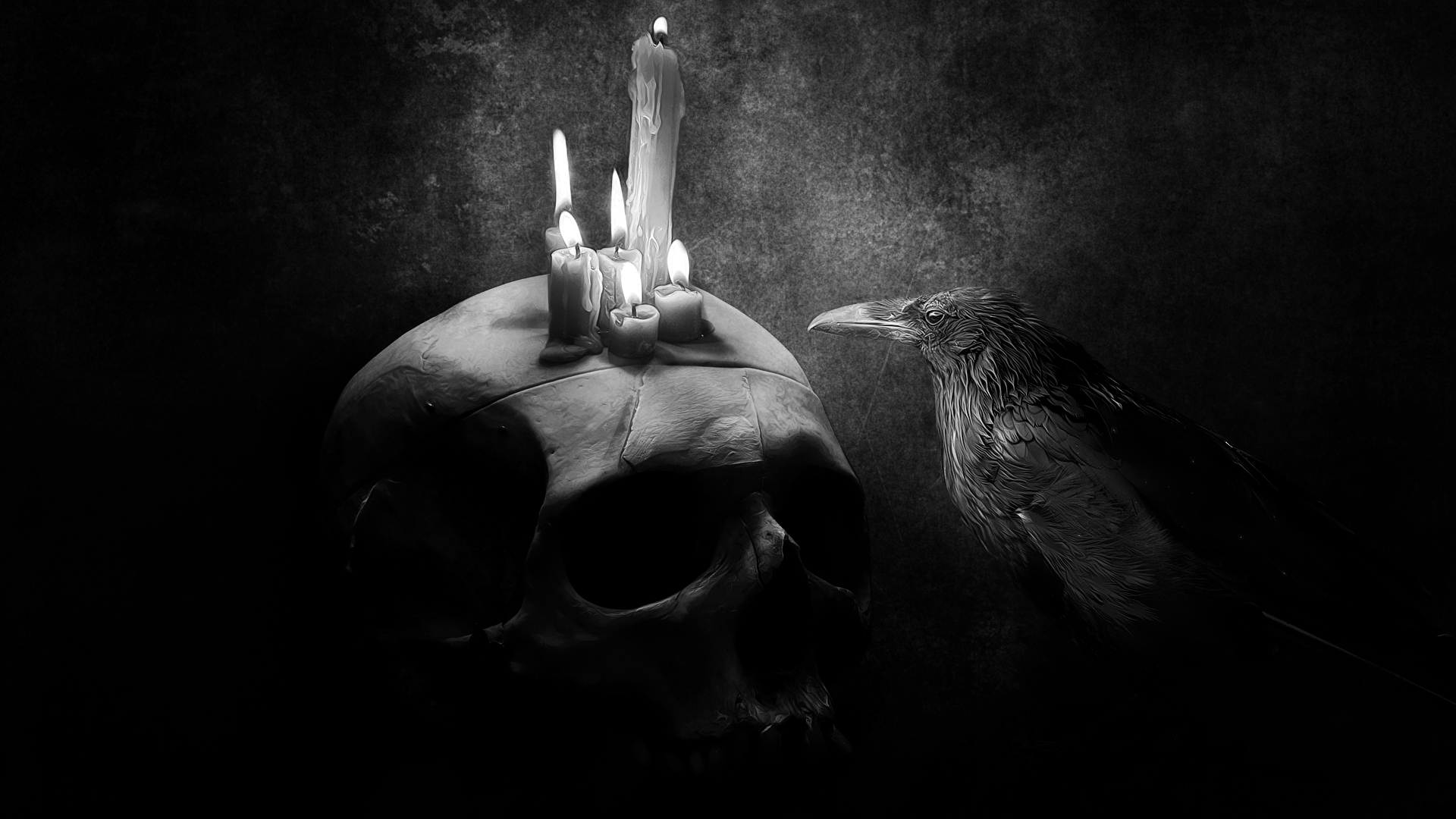 Crow Bird Drawing Skull Candle Wallpaper Background Full HD 1080p
