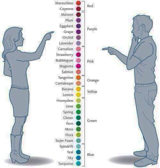 Check Out The Difference Between How Men Women See Colors
