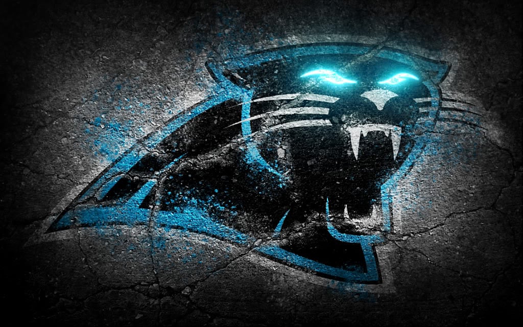 Carolina Panthers Wallpapers HD Wallpapers Early 1024x640