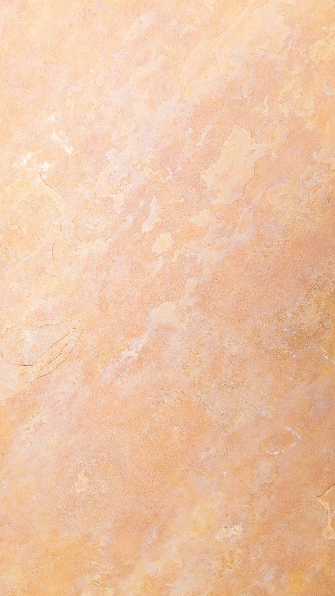 Beige Minimalist Wallpaper