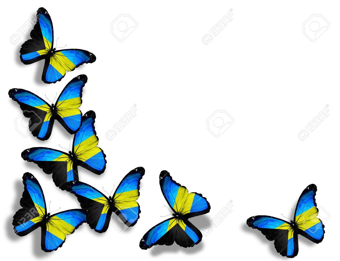 Free download Bahamian Flag Butterflies Isolated On White Background