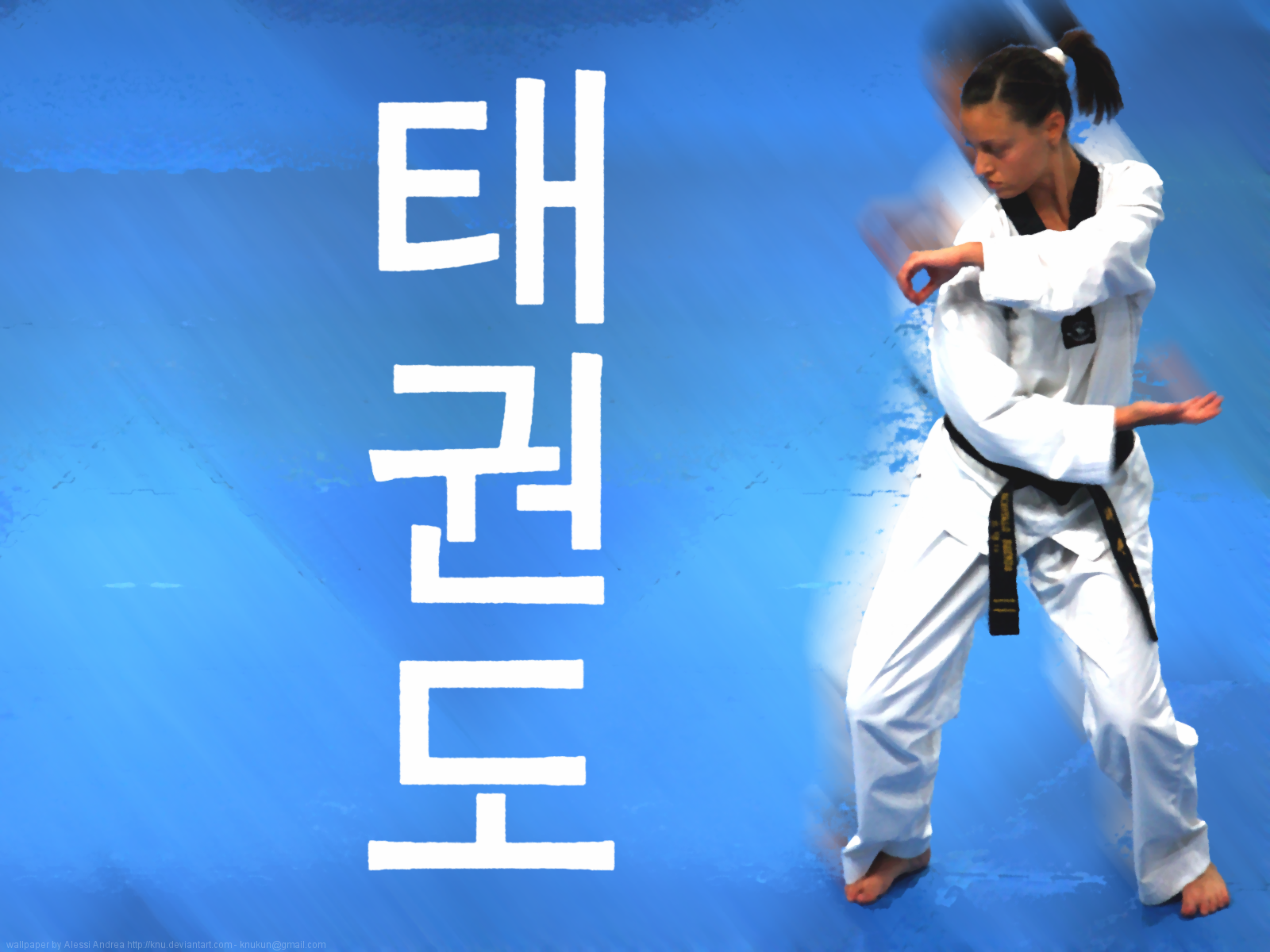 Gide Es De Cristo Taekwondo Wallpaper