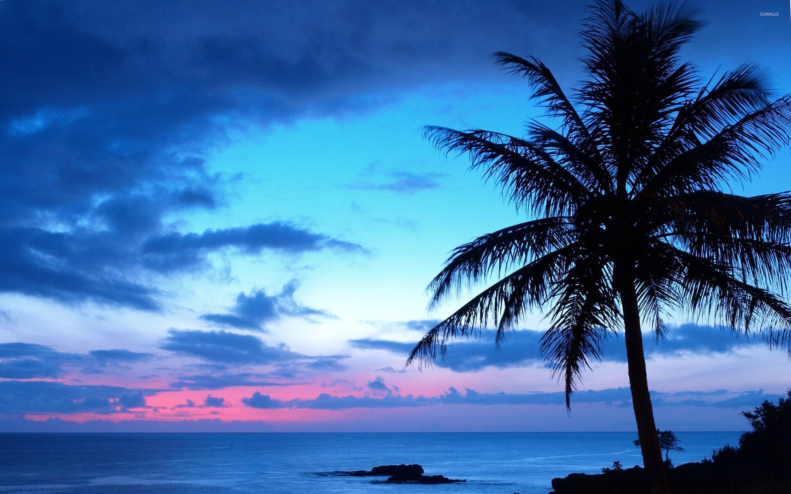 Beach Sunset Wallpaper On