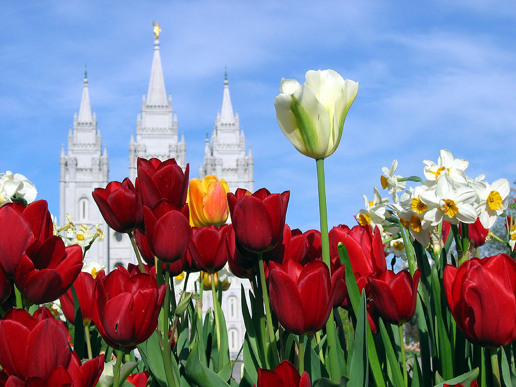 Salt Lake Lds Mormon Temple Photograph