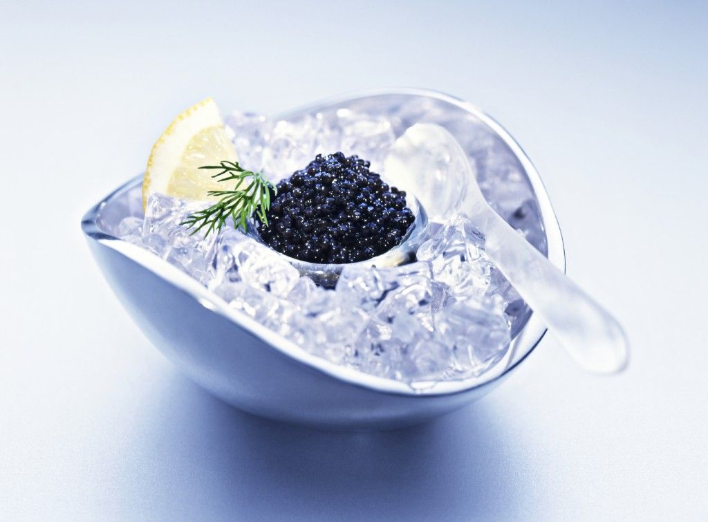 Black Caviar Wallpaper HD With Image Indulgent Food Raw