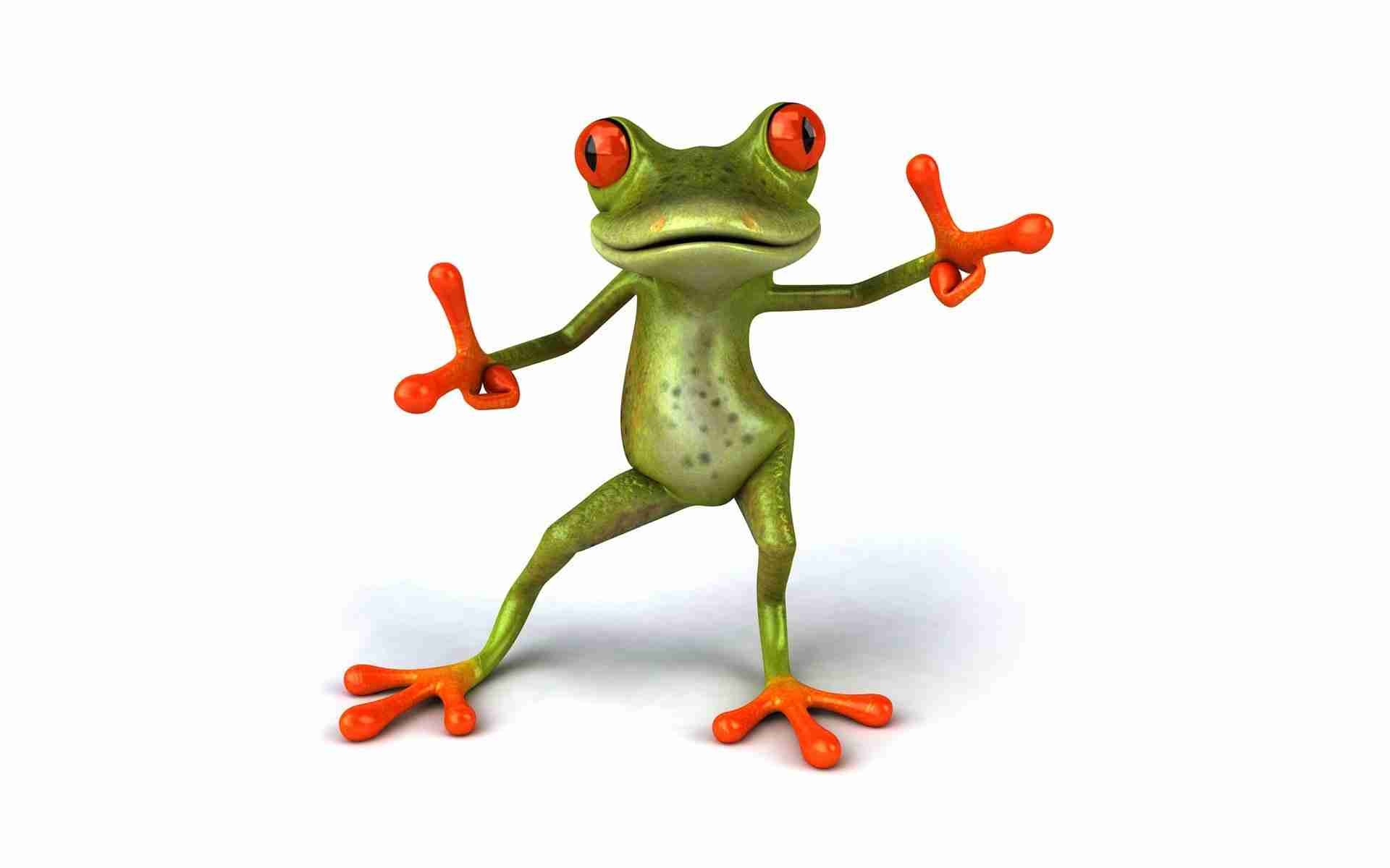 Wallpaper Funny Frog HD Background