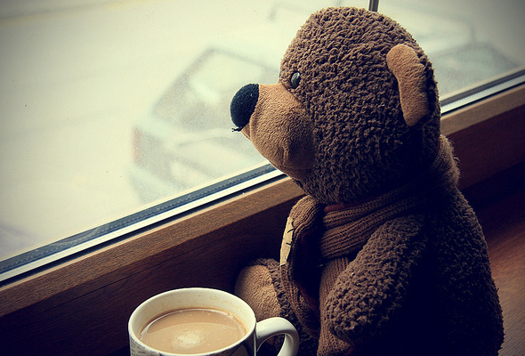 Wallpaper Cute Good Morning Coffee Cup Teddy Bear Window Desktop