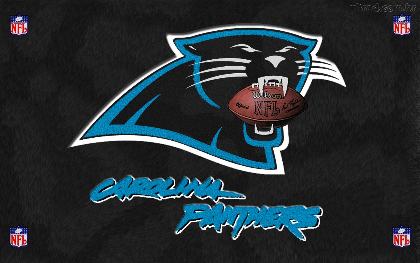 Carolina Panthers Wallpaper Collection For Download 1440x900