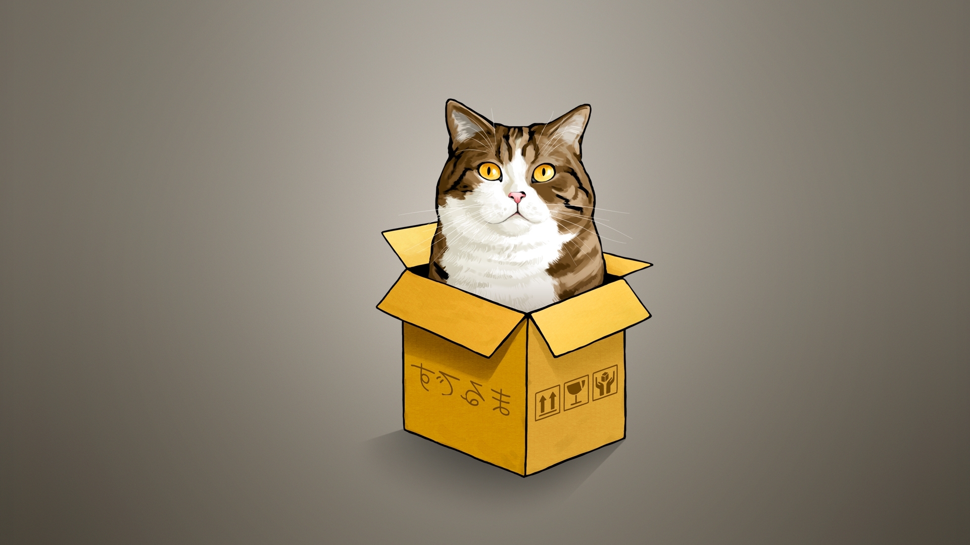 Cat In A Box Wallpaper