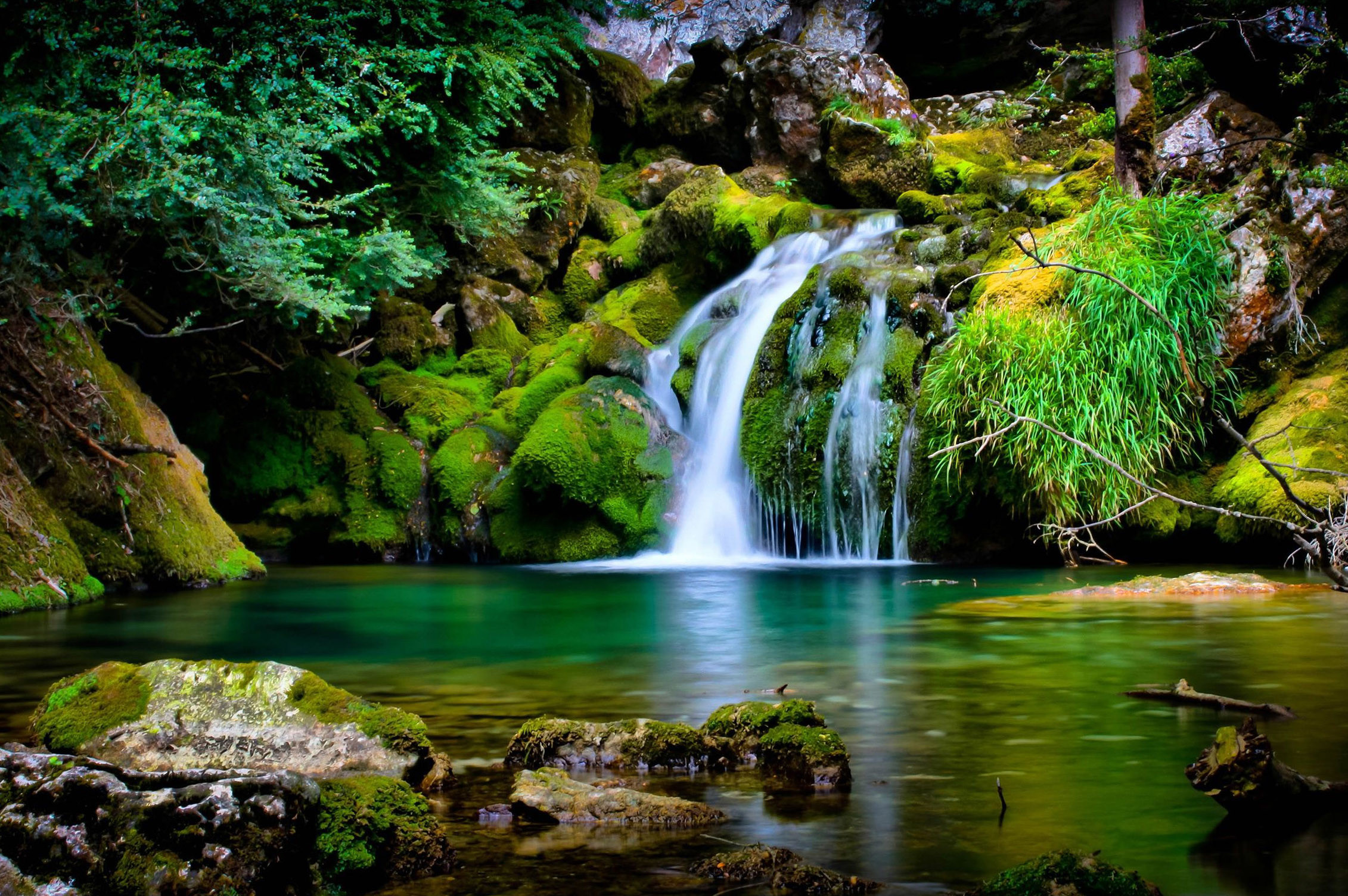 HD Wallpaper: Serene Waterfall in a Mossy Forest