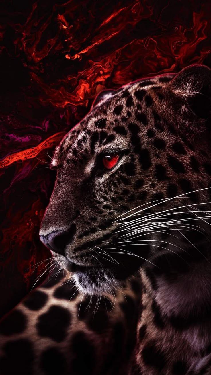 D81e3418cb25a9166129a6b65aecb32b Wallpaper