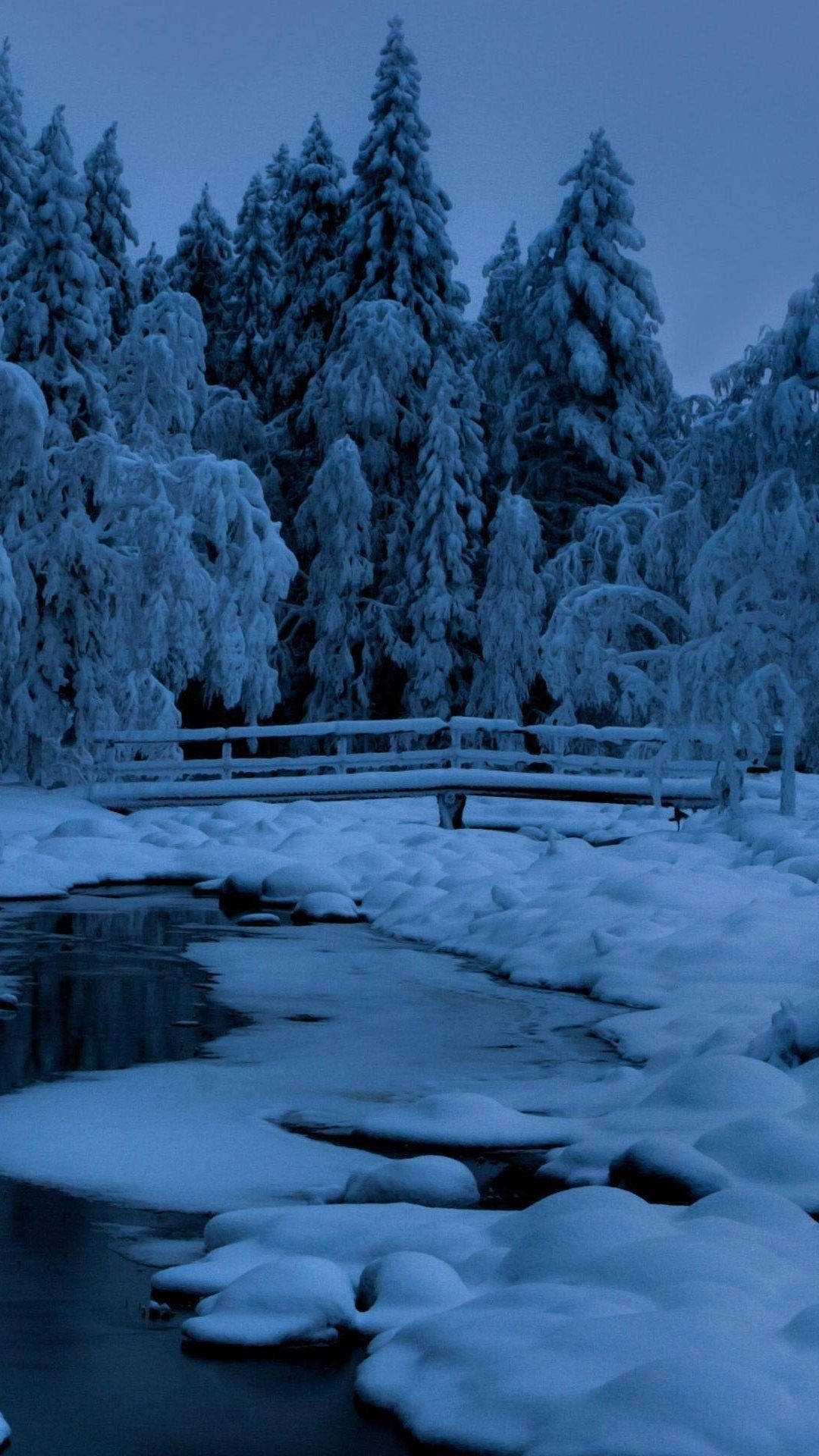 Winter Forest Phone Wallpaper